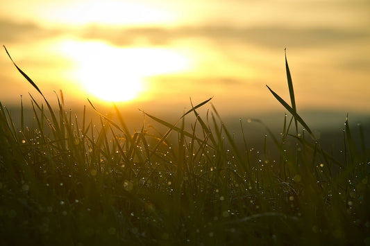 When is the best time to take Vitamin D, and how does it affect serotonin production?